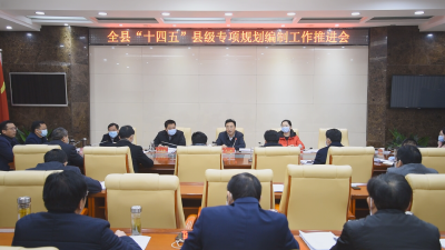 我县召开“十四五”县级专项规划编制工作推进会  