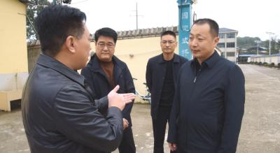 陈栋调研粮食安全工作