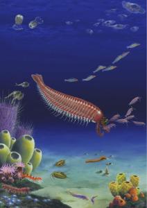 科学家发现5.2亿年前类虾化石 填补进化论“缺失环节”