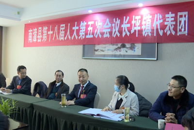 陈栋参加人大代表分团审议