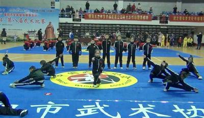 涌泉小学武术队在全市第八届武术比赛中获佳绩