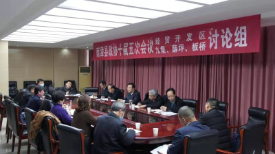 王鹏参加政协委员分组讨论