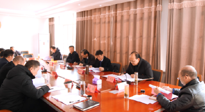 县领导参加全会分组讨论