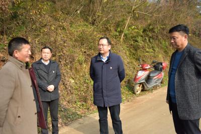 县领导到东巩镇调研