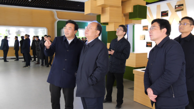 湖北宏泰集团到我县考察
