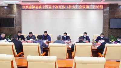 王鹏参加全会分组讨论
