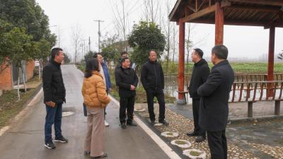 市美丽乡村建设重点工作第三督导组到我县检查工作