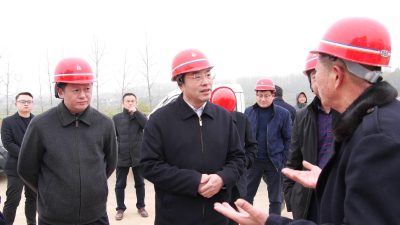 王鹏调研重点项目建设情况