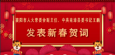 襄阳市人大常委会副主任、中共南漳县委书记王鹏发表新春贺词
