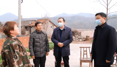 雷斌到东巩镇督导疫情防控开展走访慰问