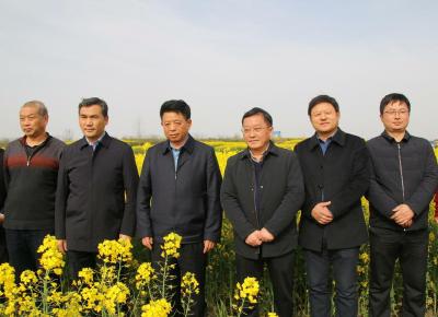 市农业技术专家到我县开展油菜种子认证田间检验