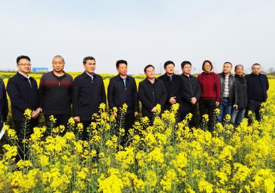 王汉中院士调研指导我县油菜产业发展