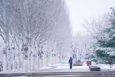 一觉醒来，北京又下雪了！雪景图新鲜出炉