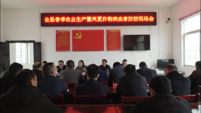 抓紧抓早病虫害防控   确保夏粮丰收