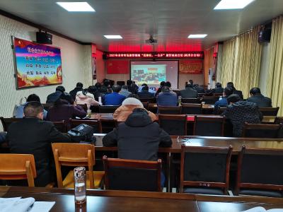 全市市场监管领域部门联合“双随机、一公开”监管视频会议召开