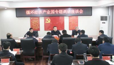 县领导到武安镇调研循环经济产业园建设情况