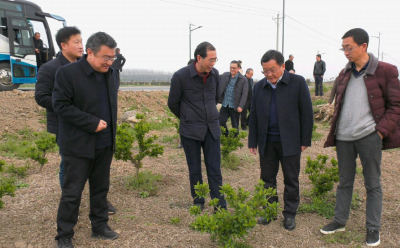 我县召开金银花种植和深加工项目建设督办推进会