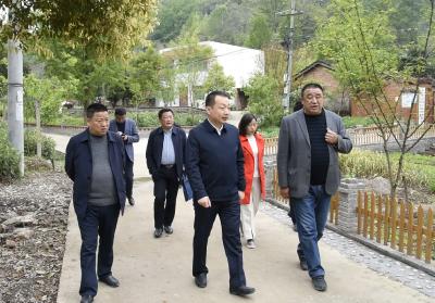 陈栋到长坪、李庙调研美丽乡村建设