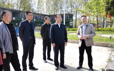 陈栋到城关镇调研美丽乡村建设