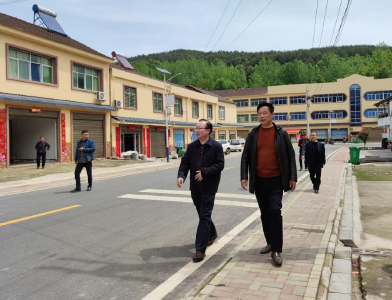 县领导到东巩镇调研美丽乡村建设