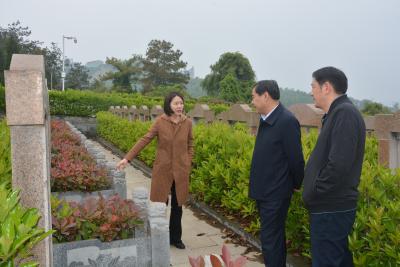 县领导调研农村公益性公墓和作风建设工作