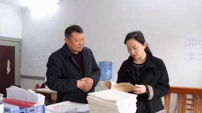 县领导到九集镇督办党史学习教育开展情况