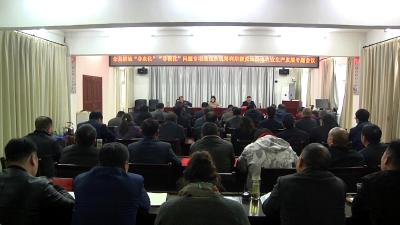 全县耕地“非农化”“非粮化”问题专项清理和统筹利用撂荒地专题会召开