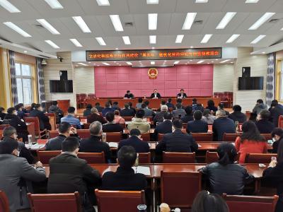 全县纪检监察系统党史学习教育和作风建设“服务年”暨优化营商环境专项监督推进会召开