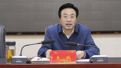我县召开全县政法队伍教育整顿工作推进会议