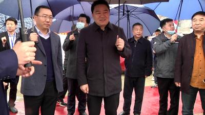 县领导参加首届新能源汽车展销节开幕式