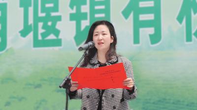 肖堰镇有机茶文化旅游节开幕