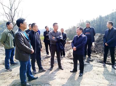 “朴·茶山居”项目建设协调督办专题会召开