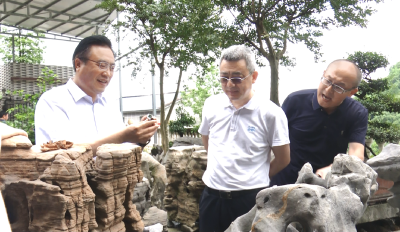 省地质局领导到我县开展地质工作考察