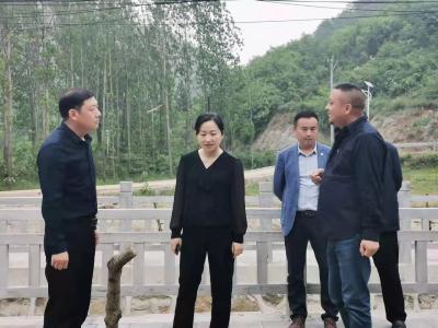 县领导督导薛坪镇美丽乡村建设和软弱涣散党组织整顿等工作
