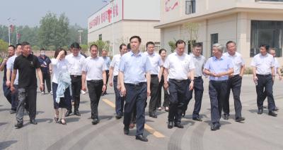 罗兴斌调研重点项目建设