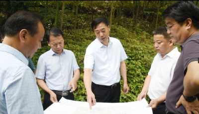 罗兴斌赴李庙镇张家坪现场办公，着力推进南漳史上最大项目建设