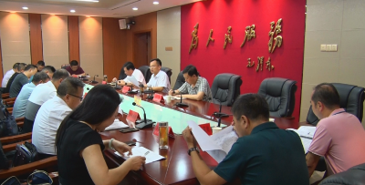 县领导督办生态环境保护督察及突出环境问题整改工作