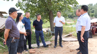 县领导督办“襄阳梦幻森林动物园”建设项目