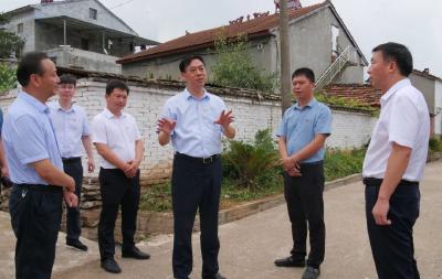 罗兴斌在九集镇调研时强调：抓好党建促发展 抓好发展促党建