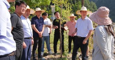 罗兴斌：全力落细落小落实灾后重建工作