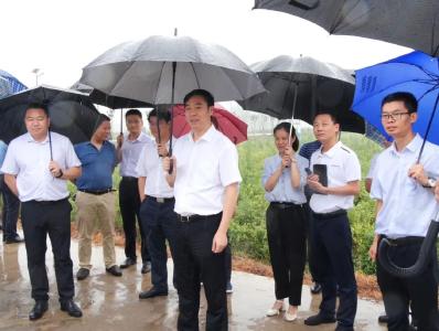 重点项目建设怎么样？兴斌书记冒雨督进度