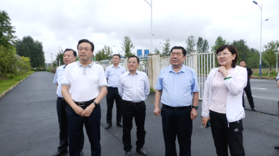市领导到我县督导重点工作