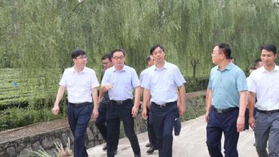 罗兴斌：狠抓“一村一品　一镇一业”，以产业兴旺带动乡村振兴
