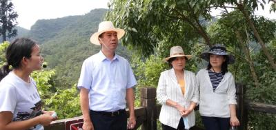 省文化和旅游厅厅长雷文洁来漳调研
