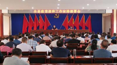 陈栋督办城区疫苗接种：务必按时高质量高标准清零 