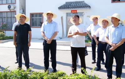 罗兴斌：以党建引领，推动美丽乡村示范点高质量建设