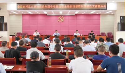 陈栋：推进整治整改，坚决遏制乱占耕地建房乱象