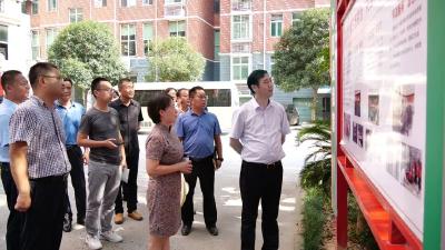 罗兴斌：以党建品牌建设为引领，推进“我为群众办实事”活动走深走实