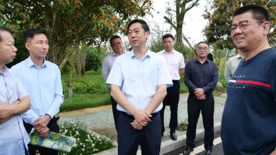 罗兴斌：强化协调，转变作风，快速推进重点项目建设