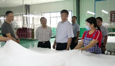 罗兴斌：多措并举支持农业龙头企业做大做强，大力推进以县城为重要载体的城镇化建设